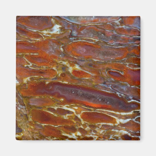 恐竜の石化した骨 マグネット (正面)