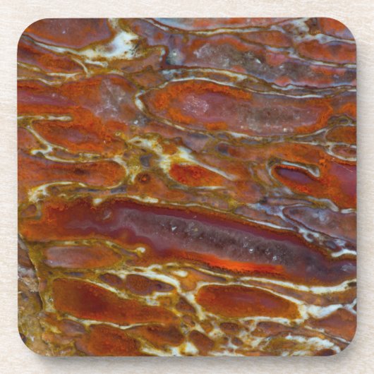 恐竜の石化骨 コースター (正面)