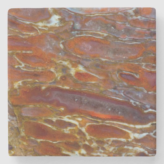 恐竜の石化骨 ストーンコースター (正面)