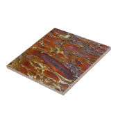 恐竜の石化骨 タイル (側面)