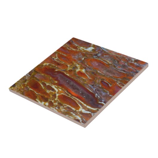 恐竜の石化骨 タイル (側面)