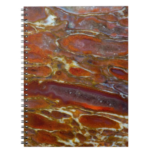 恐竜の石化骨 ノートブック (正面)