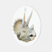 恐竜の角 メタルオーナメント (正面左)