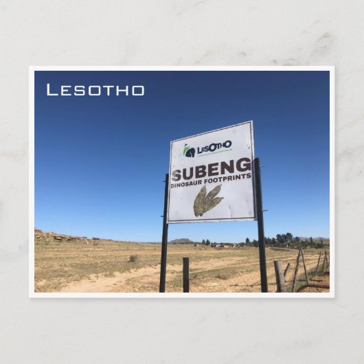 恐竜の足跡を埋める ポストカード (正面)