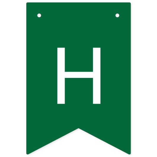 恐竜の轟音誕生日旗 バンティングフラッグ (第2の旗)