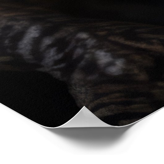 恐竜の野獣ポートレート猛威 ポスター (角)