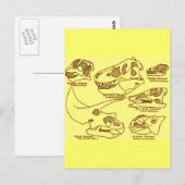 恐竜の頭蓋骨 ポストカード (正面/裏面)