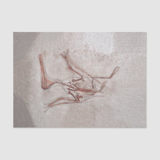 恐竜の骨の古い先史時代のスケッチアート 薄葉紙 (正面)