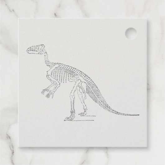 恐竜の骨格芸術 フェイバータグ (裏面)