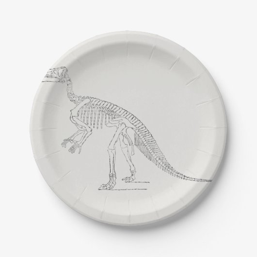 恐竜の骨格芸術 ペーパープレート (正面)