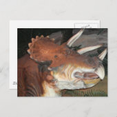 恐竜はがき ポストカード (正面/裏面)