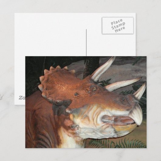 恐竜はがき ポストカード (正面/裏面)