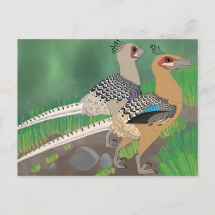 恐竜はがき – Acheroraptor ポストカード