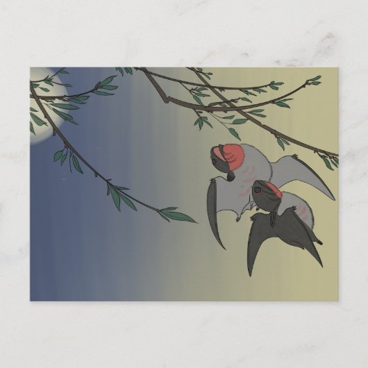 恐竜はがき – Anurognatus ポストカード (正面)