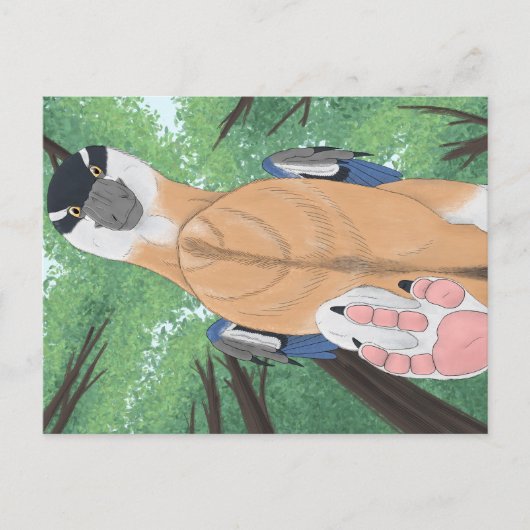 恐竜はがき – Dromaeopodus ポストカード (正面)