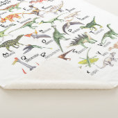 恐竜アルファベット シェルパブランケット (3/4)