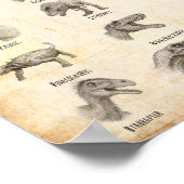 恐竜アルファベット ポスター (角)