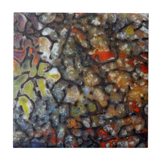 恐竜カラフルの骨 タイル (正面)