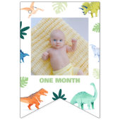 恐竜カラフル初の誕生日マイルストーン写真 バンティングフラッグ (第3の旗)