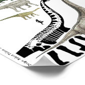 恐竜グループスケールのポスターチャートGregory Paul #1 ポスター (角)