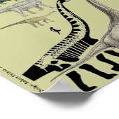 恐竜グループスケールのポスターチャートGregory Paul #2 ポスター (角)