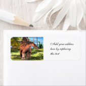 恐竜ケトロサウルス ラベル (インサイチュ)