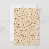 恐竜サンキューカード サンキューカード (裏面)