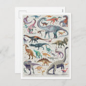 恐竜チャートはがき シーズンポストカード (正面/裏面)