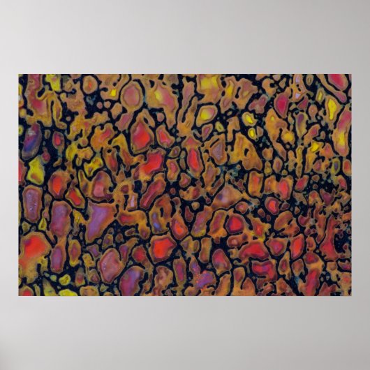 恐竜パターン（の模様が）ある骨 ポスター (正面)