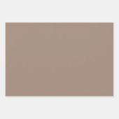 恐竜ラッモダンピング紙セット ラッピングペーパーシート (正面2)