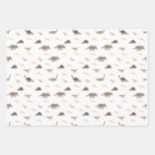 恐竜ラッモダンピング紙セット ラッピングペーパーシート (正面)