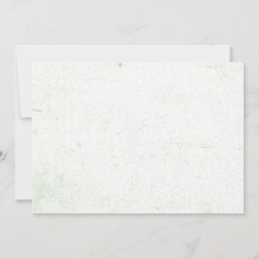 恐竜ワンサウルスの最初の誕生日の写真 招待状 (裏面)