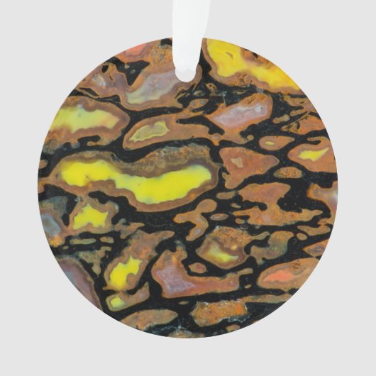 恐竜多色のの骨 オーナメント (正面)