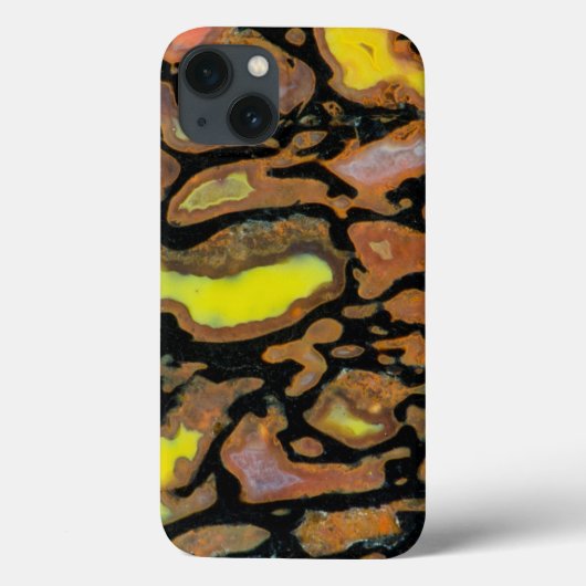 恐竜多色のの骨 Case-Mate iPhoneケース (裏面)