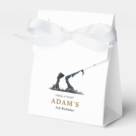 恐竜誕生日招待状、3つのレックス誕生日 フェイバーボックス (正面サイド)