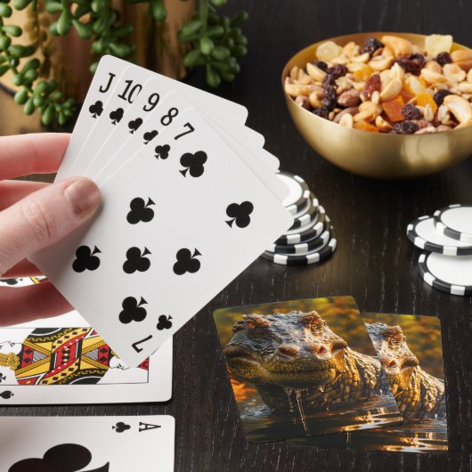 恐竜 トランプ (インサイチュ)