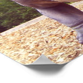 恐竜 ポスター (角)