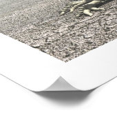 恐竜 ポスター (角)