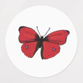 恐竜、蝶とカエル ラベル (デザイン2)