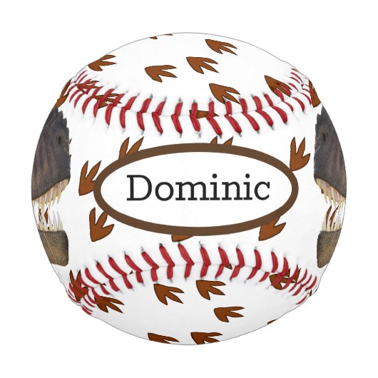 恐竜 野球ボール (裏面)