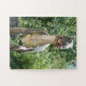 恐竜Tレックス ジグソーパズル (横)