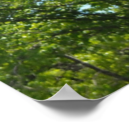 恐竜Tレックス ポスター (角)