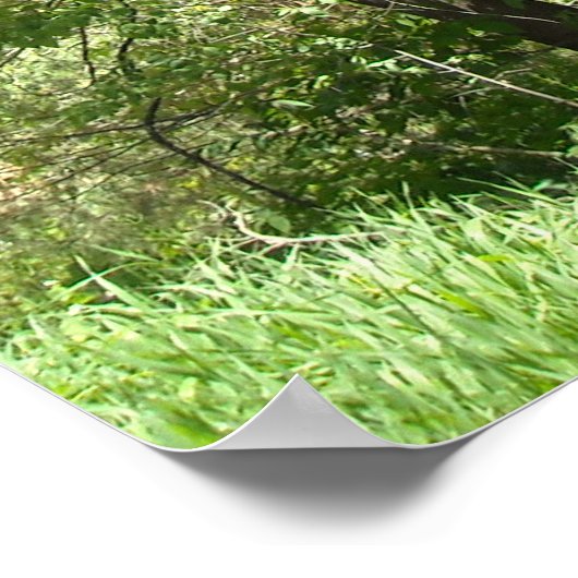 恐竜Tレックス ポスター (角)