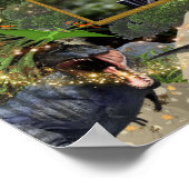 恐竜T-レックスDIY写真少年の流星炎 ポスター (角)