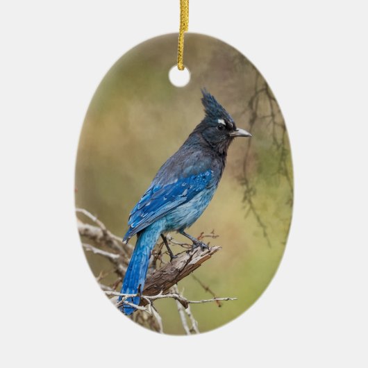 恒星のジェイ・バードズ絵を描のクリスマスカスタムの年 セラミックオーナメント (正面)