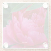 恥ずかしいピンク牡丹 ガラスコースター (裏面)