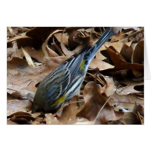 恥ずかしがらないで！ (正面横)