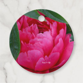 恥ずかしがりピンクの芍薬 フェイバータグ