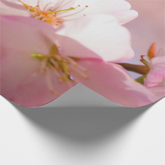 恥ずかしがり屋の桜の花の陰 ラッピングペーパー (角)