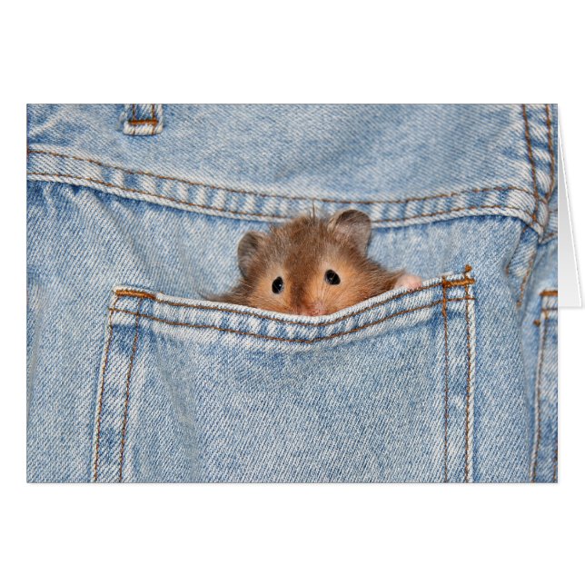 恥ずかしがり屋 (正面横)